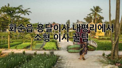 화순읍 용달이사🚚 내평리에서 소형 이사 꿀팁🍯