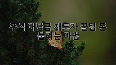 💰 주식 배당금 재투자 꿀팁: 돈 불리는 마법! 🧙‍♂️
