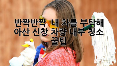 ✨ 반짝반짝 ✨ 내 차를 부탁해! 아산 신창 차량 내부 청소 꿀팁 🚗💨