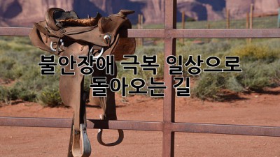 불안장애 극복, 일상으로 돌아오는 길